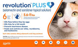 Revolution Plus For Cats