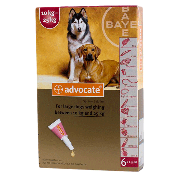 Pekkadillo besøgende Jeg mistede min vej Bayer Advocate For Dogs (also called Advantage Multi) – Paradise Petstore