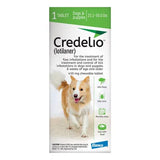 Credelio For Dogs