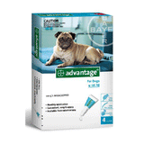 Advantage For Dogs-Advantage-BRAND_Advantage,PET TYPE_Dog