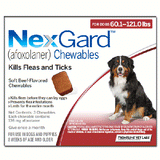 Nexgard For Dogs-Oasis Pets-BRAND_Nexgard,PET TYPE_Dog
