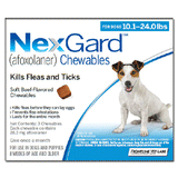 Nexgard For Dogs-Oasis Pets-BRAND_Nexgard,PET TYPE_Dog