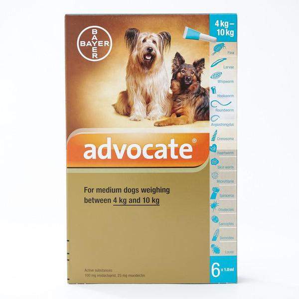 Advocate xl dog 6 hot sale pack