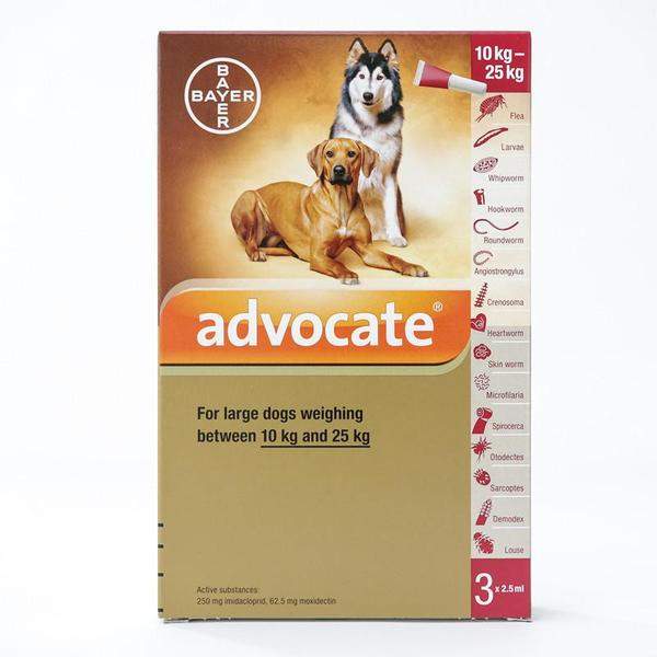 Bayer advantage for dogs top