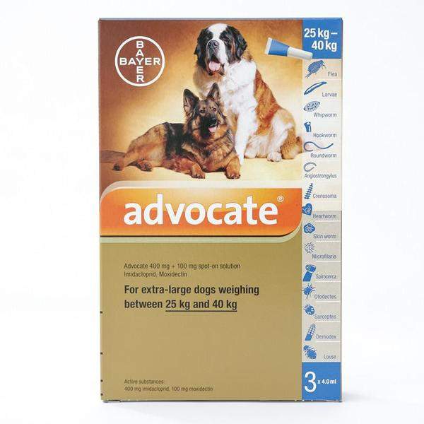 Bayer advocate hotsell
