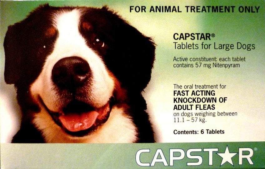 Capstar Flea Treatment For Dogs and Cats From – Paradise