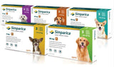 Simparica For Dogs-Paradise Petstore-BRAND_Simparica,PET TYPE_Dog